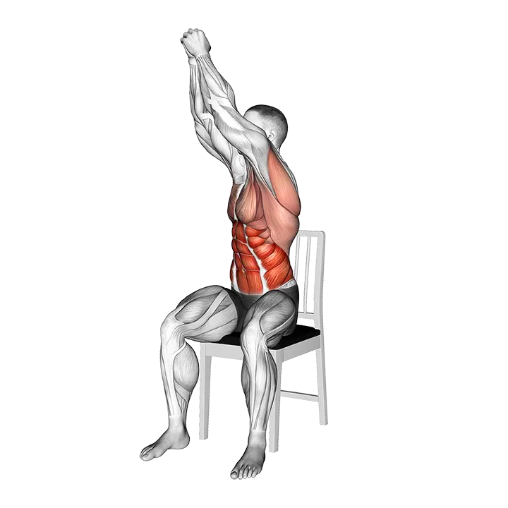 Sitting Woodchopper on a Chair exercise animation (Male)