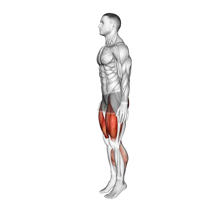 Deep Knee Bend exercise animation (Male)