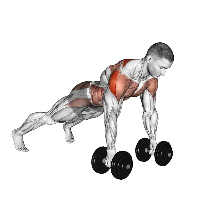 Dumbbell Lateral Raise Plank exercise animation (Male)