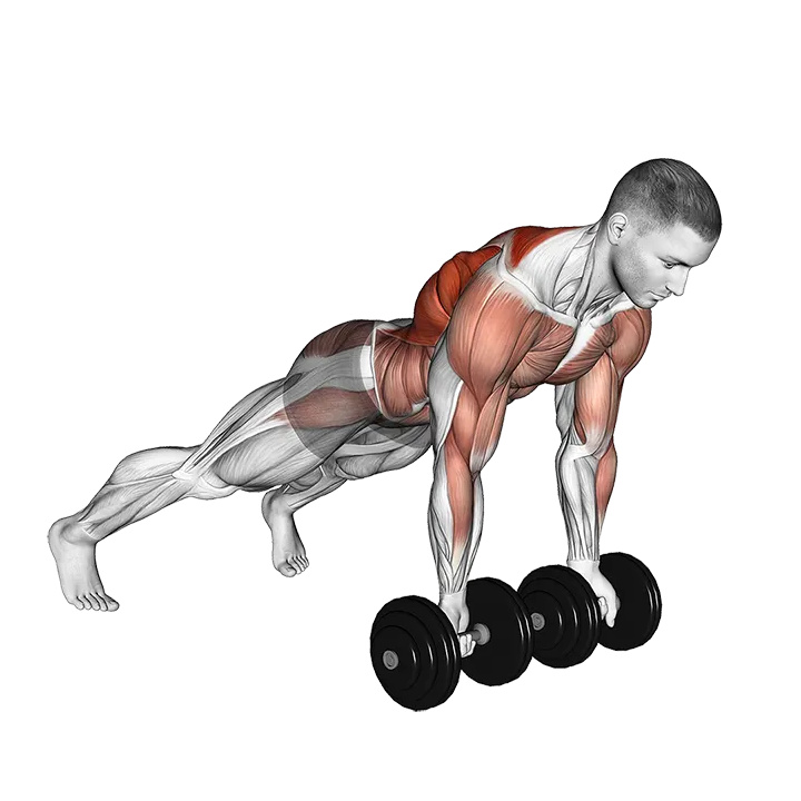 Dumbbell Underhand Renegade Row exercise animation (Male)