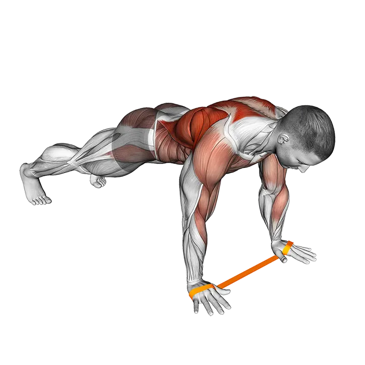 Resistance Band Renegade Row exercise animation (Male)