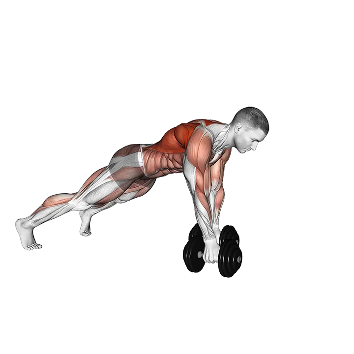 Dumbbell Renegade Row Walk exercise animation (Male)