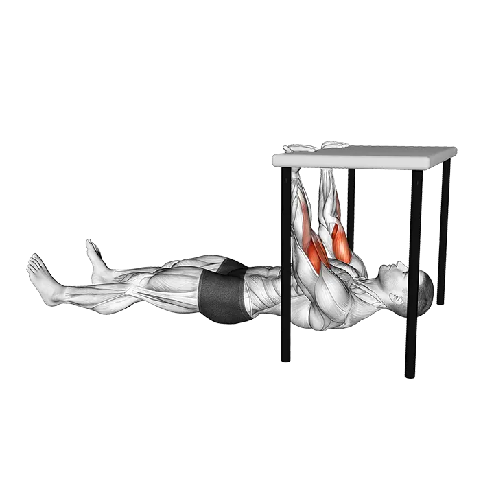 Biceps Curl under Table exercise animation (Male)