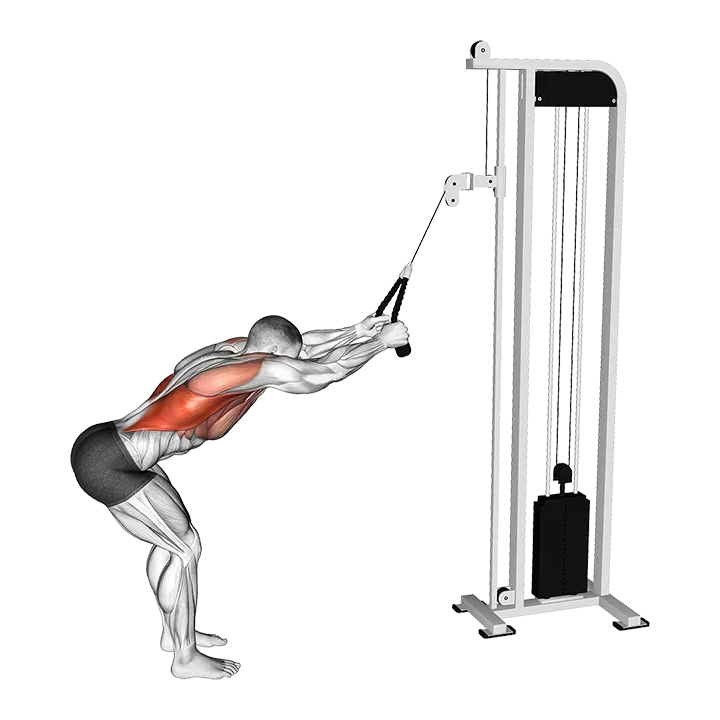 Cable Straight Arm Pulldown (with rope attachment) exercise animation (Male)