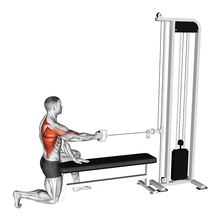Cable Half Kneeling Single Arm Row (VERSION 2) exercise animation (Male)