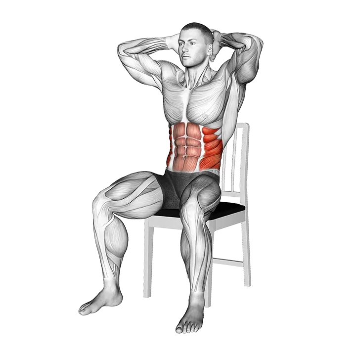 Seated Upright Twists on a Chair exercise animation (Male)