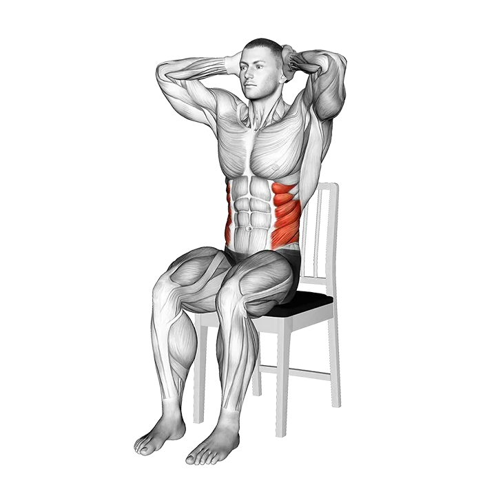 Seated Side Bend on a Chair exercise animation (Male)