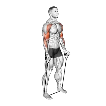 Resistance Band Drag Curl