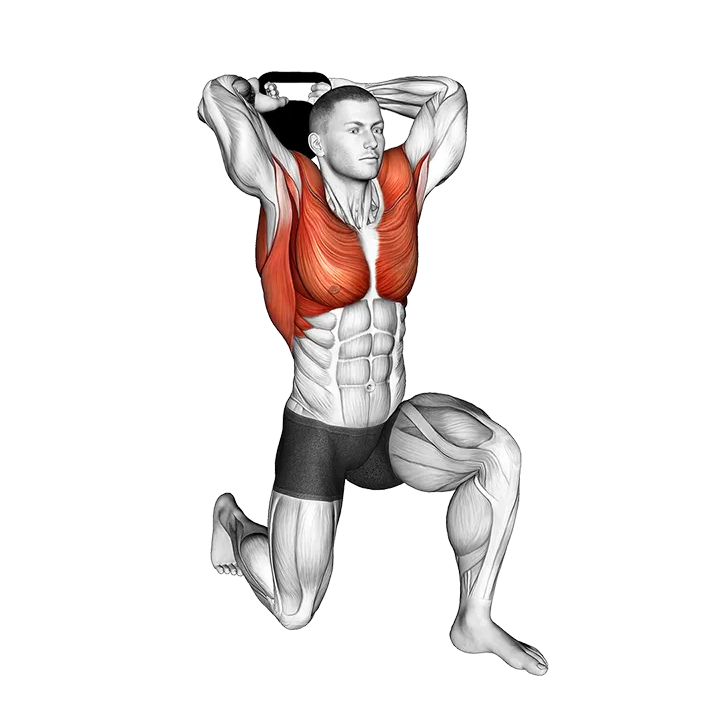 Kettlebell Half Kneeling Halo exercise animation (Male)