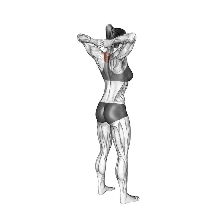 Bodyweight Standing T-spine Press exercise animation (Female)