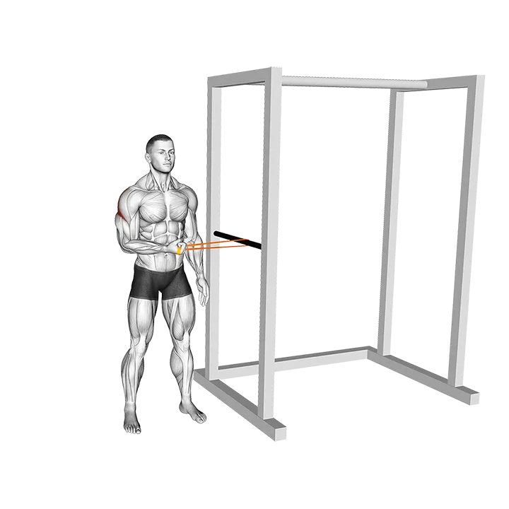 Resistance Band Standing Shoulder Extrernal Rotation exercise animation (Male)