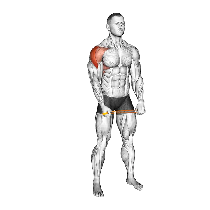 Resistance Band Standing Single Arm Lateral Raise exercise animation (Male)