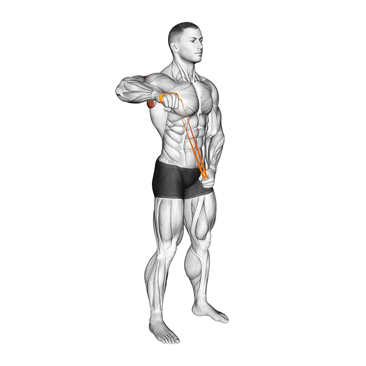 Resistance Band Standing 90 degrees Shoulder Extrernal Rotation exercise animation (Male)