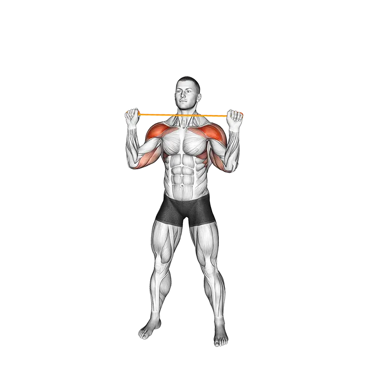 Resistance Band Overhead Shoulder Press (VERSION 2) exercise animation (Male)