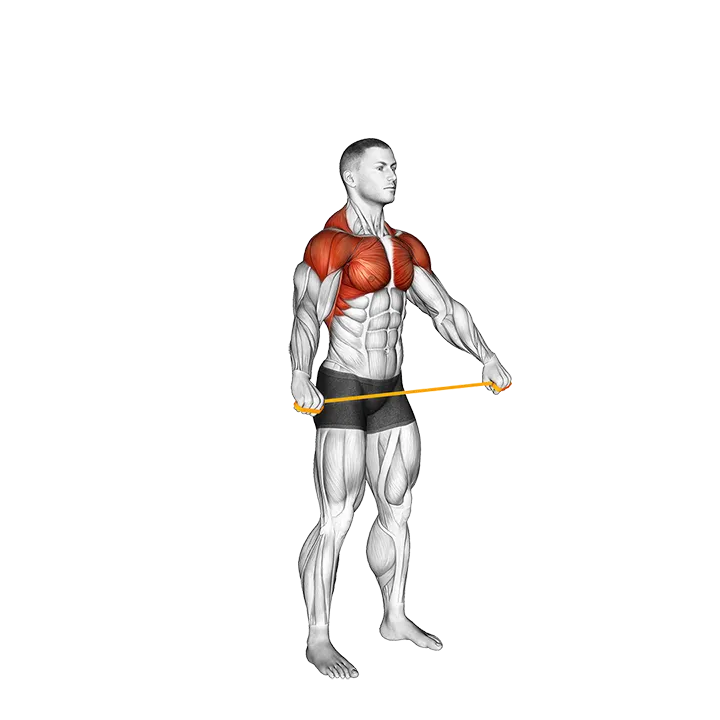 Resistance Band Pass Through exercise animation (Male)