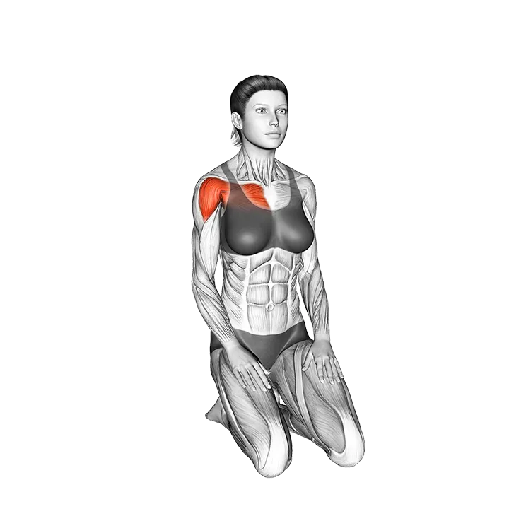 Seated Over Head Straight Arm Stretch exercise animation (Female)