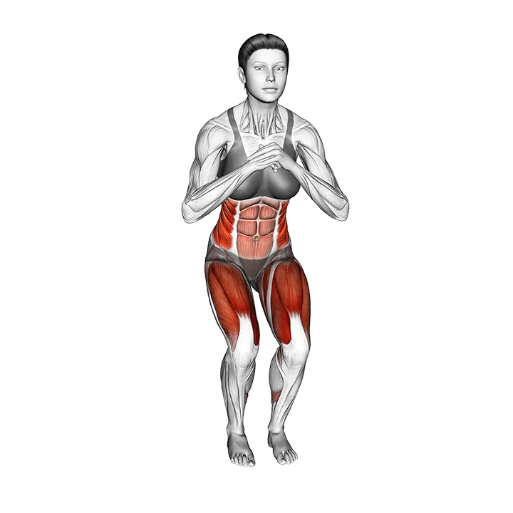 Step Out from Squat exercise animation (Female)
