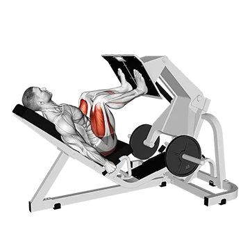 Lever Angled Leg Press