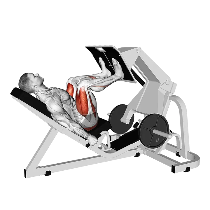 Lever Angled Leg Press exercise animation (Male)