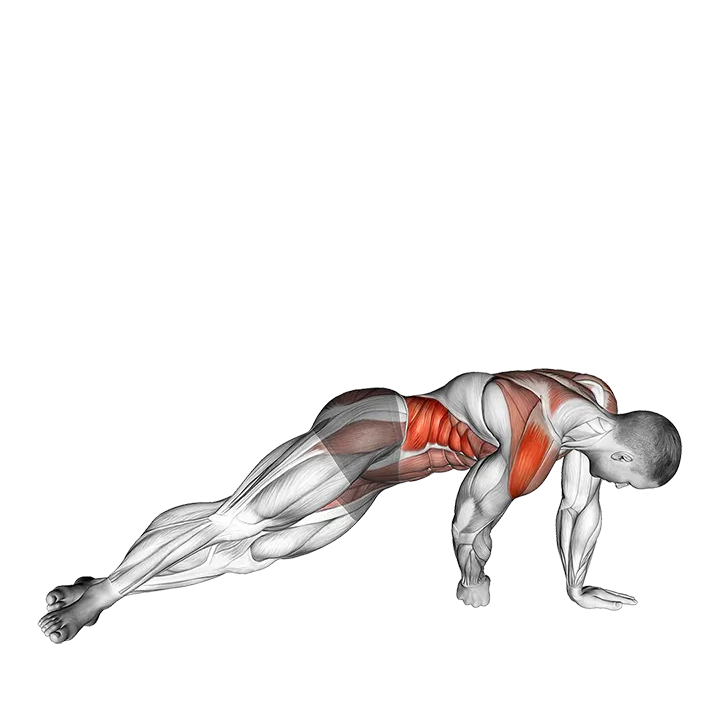 Side Floor Tap Plank exercise animation (Male)