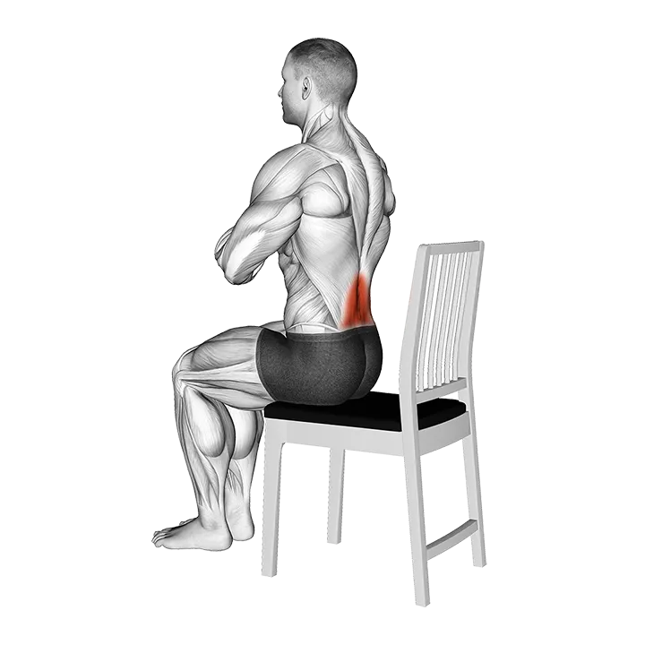 Seated Lean Back on a Chair exercise animation (Male)