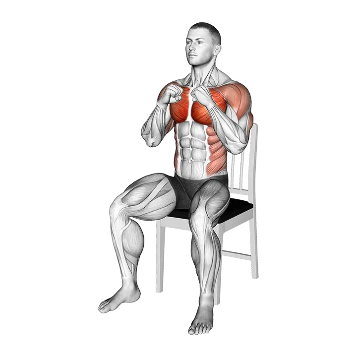 Seated Cross Body Punch on a Chair exercise animation (Male)