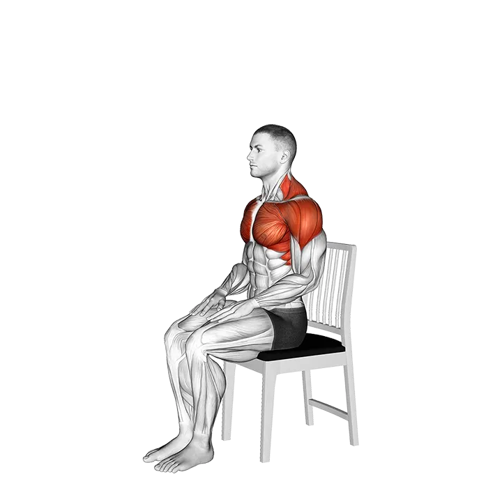 Seated Overhead Stretch on a Chair exercise animation (Male)