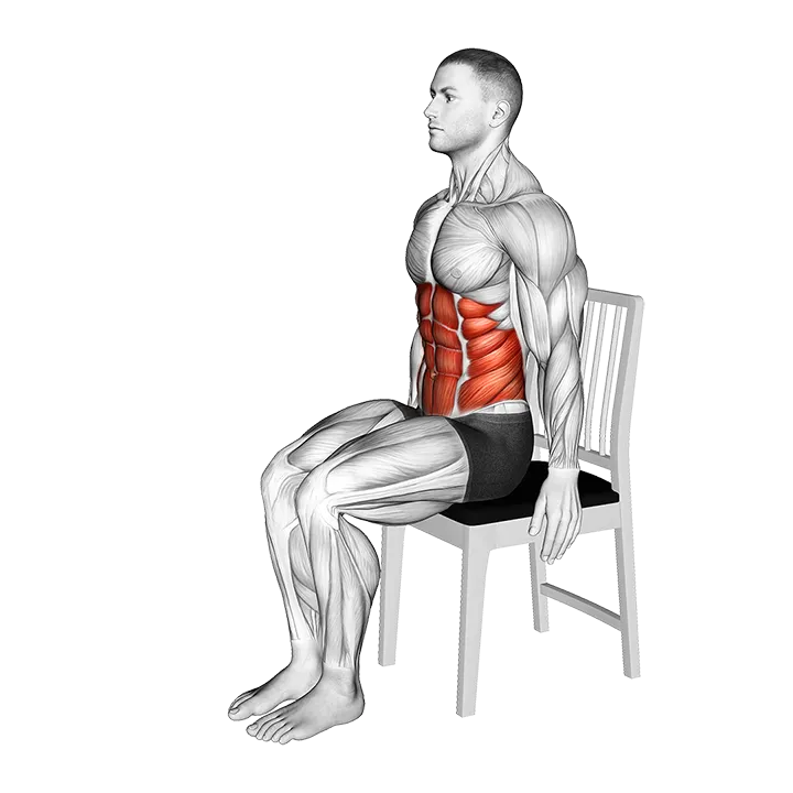 Seated Forward Bend Stretch on a Chair exercise animation (Male)