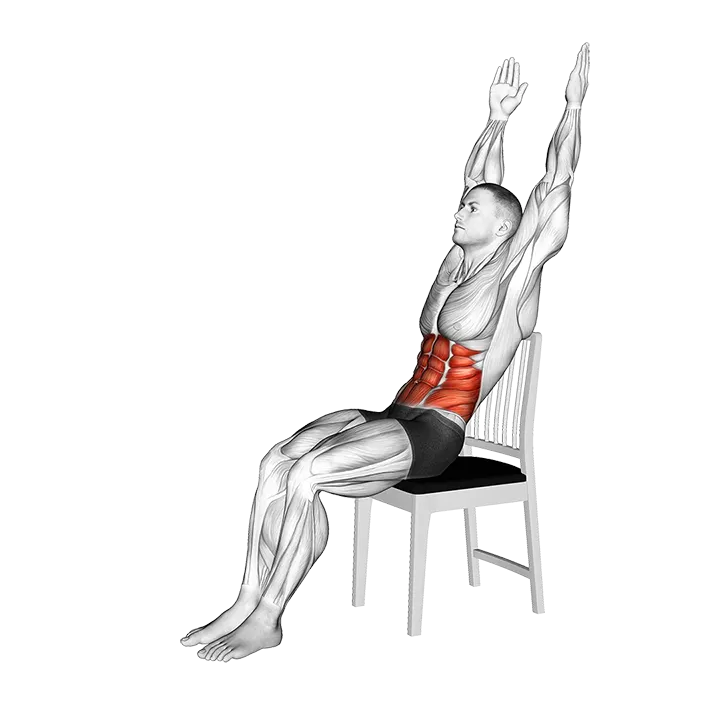 Seated Forward Roll-up on a Chair exercise animation (Female)