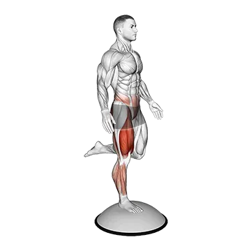 Bosu Ball Balance Counterbalanced Skater Squat