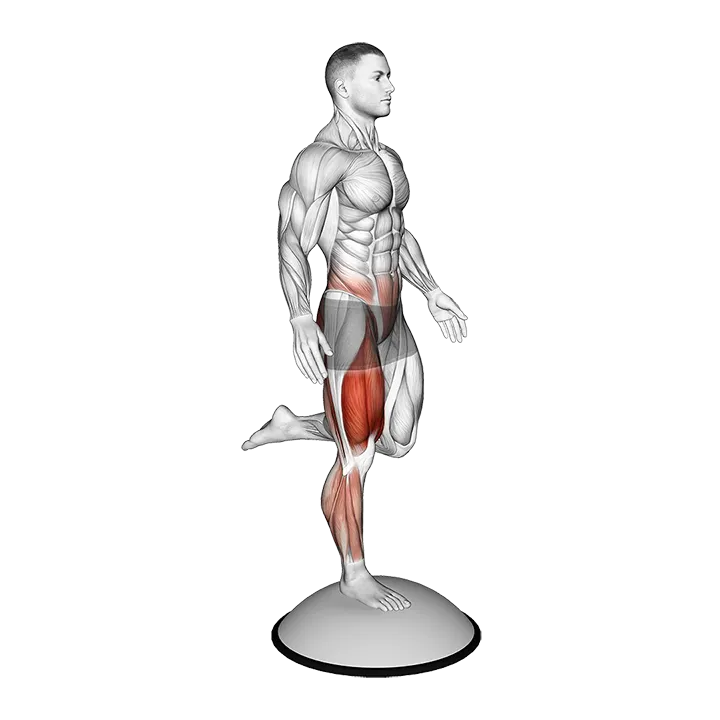 Bosu Ball Balance Counterbalanced Skater Squat exercise animation (Male)