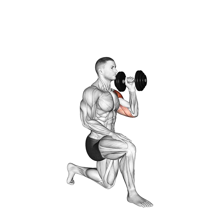 Dumbbell Kneeling Opposite Shoulder Press exercise animation (Male)
