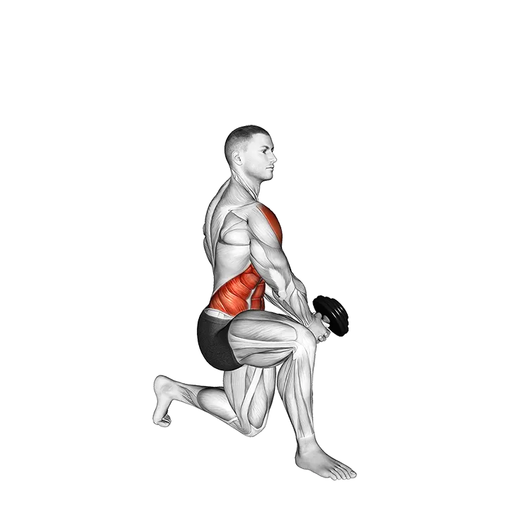 Dumbbell Kneeling Twist Down-up Raise exercise animation (Male)