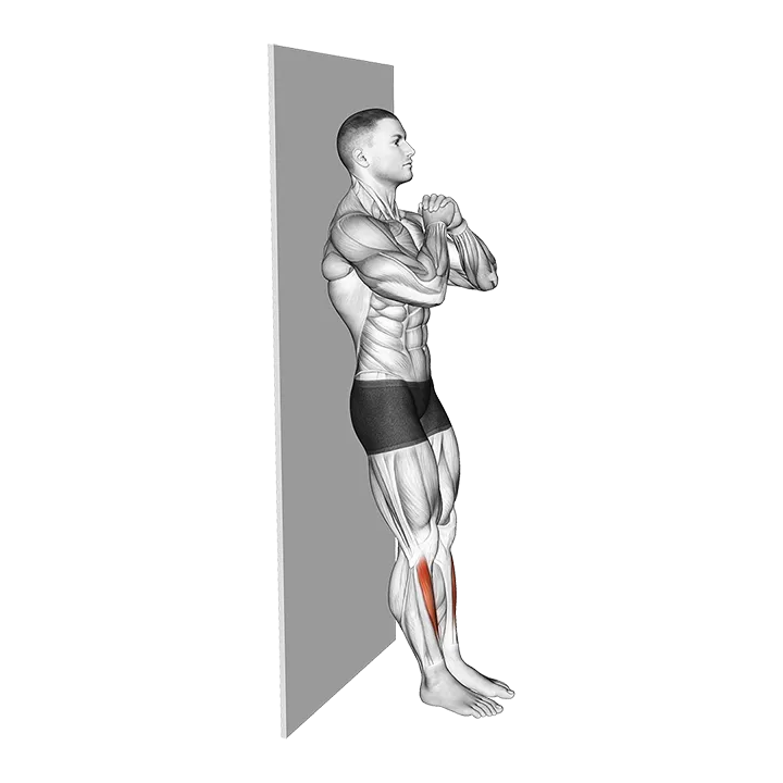 Bodyweight Tibialias Raise Wall Supported exercise animation (Male)