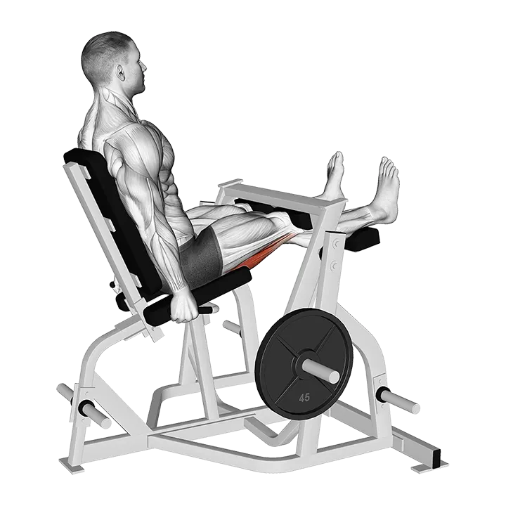 Lever Seated Leg Curl (plate loaded) exercise animation (Male)