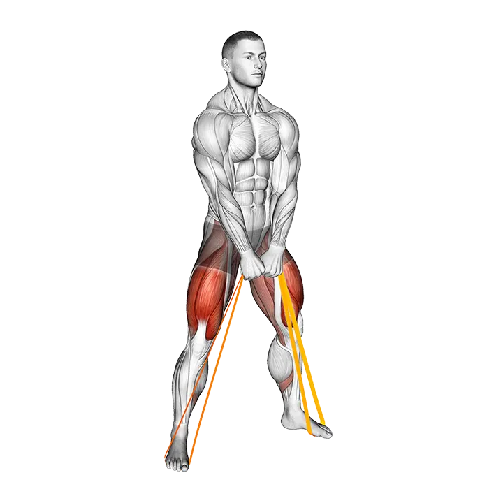 Resistance Band Sumo Squat exercise animation (Male)