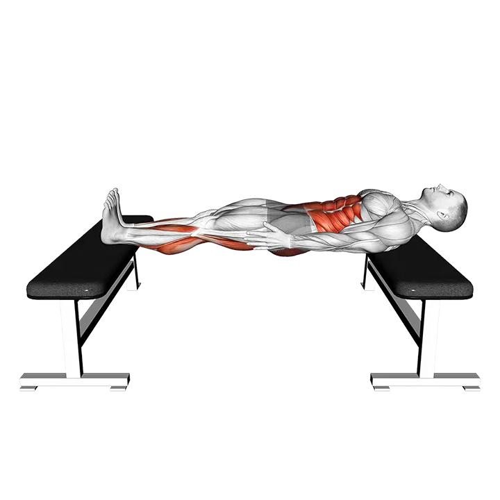 Chinese Plank exercise animation (Male)