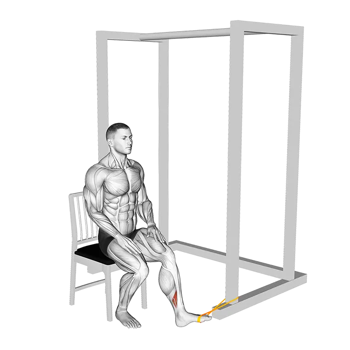 Resistance Band Seated Inversion Foot exercise animation (Male)