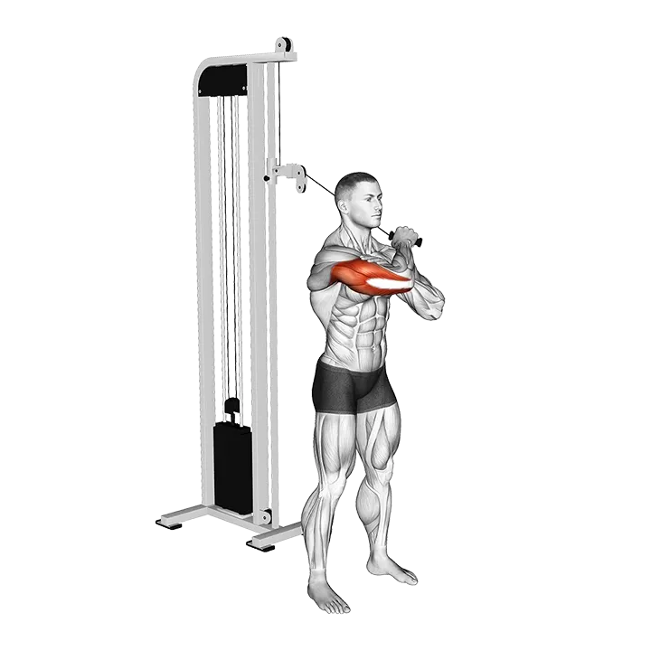 Cable Standing Single Arm Horizontal Triceps Extension exercise animation (Male)
