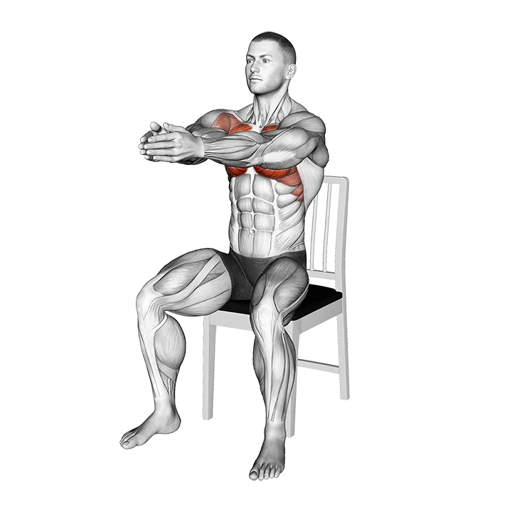 Seated Alternate Dynamic Chest Stretch on a Chair exercise animation (Male)
