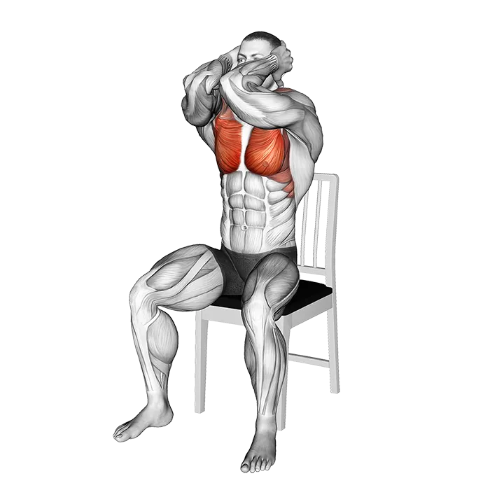 Seated Elbow Chest Fly on a Chair exercise animation (Male)
