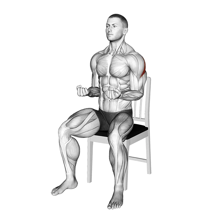 Seated External Rotation on a Chair exercise animation (Male)