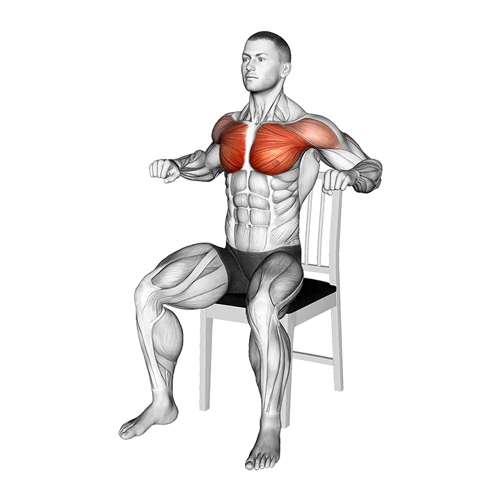 Seated Chest Press on a Chair exercise animation (Male)