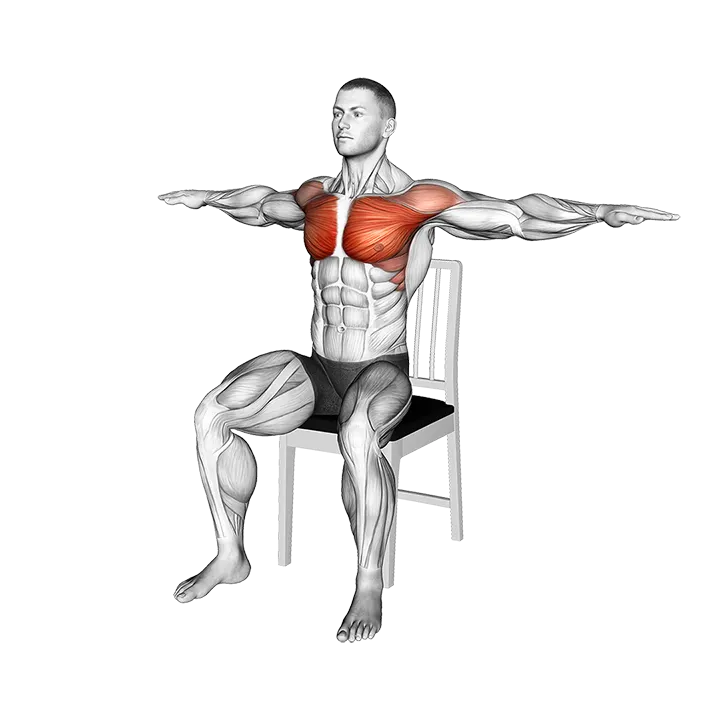 Seated Arm Crossover on a Chair exercise animation (Male)