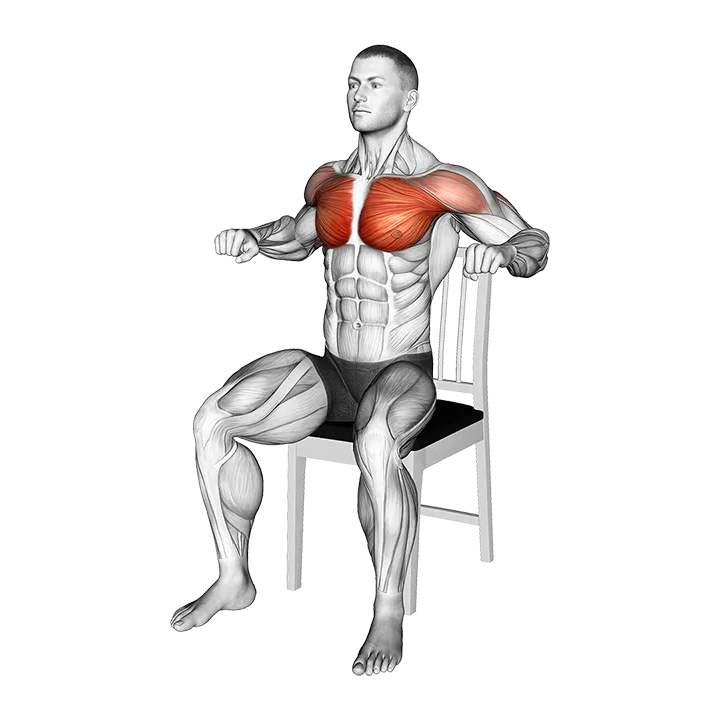 Seated Decline Chest Press on a Chair exercise animation (Male)