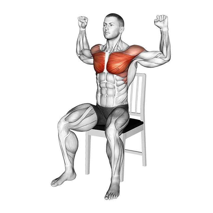 Seated Pec Dec on a Chair exercise animation (Male)