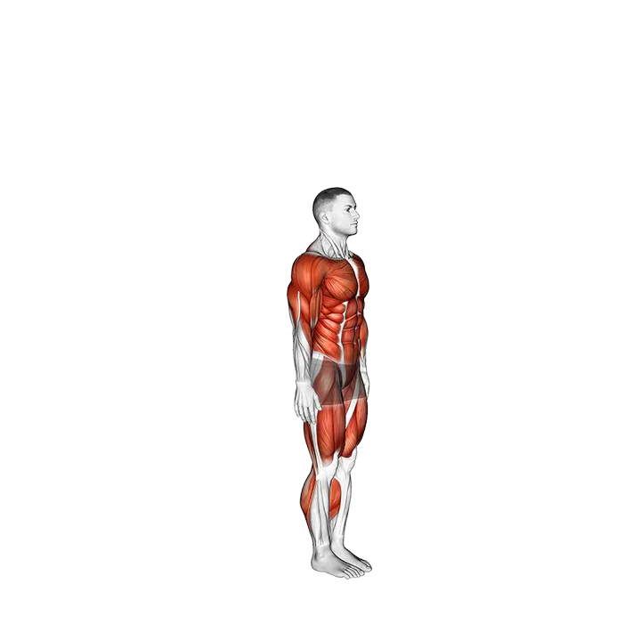 Push-up Plank Jack Burpee exercise animation (Male)