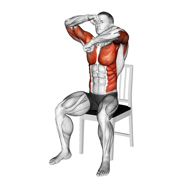 Seated Rotating Boxing Rolls on a Chair exercise animation (Male)