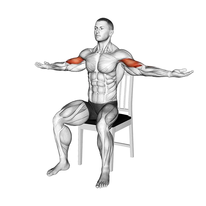 Seated Shoulder Tap on a Chair exercise animation (Male)