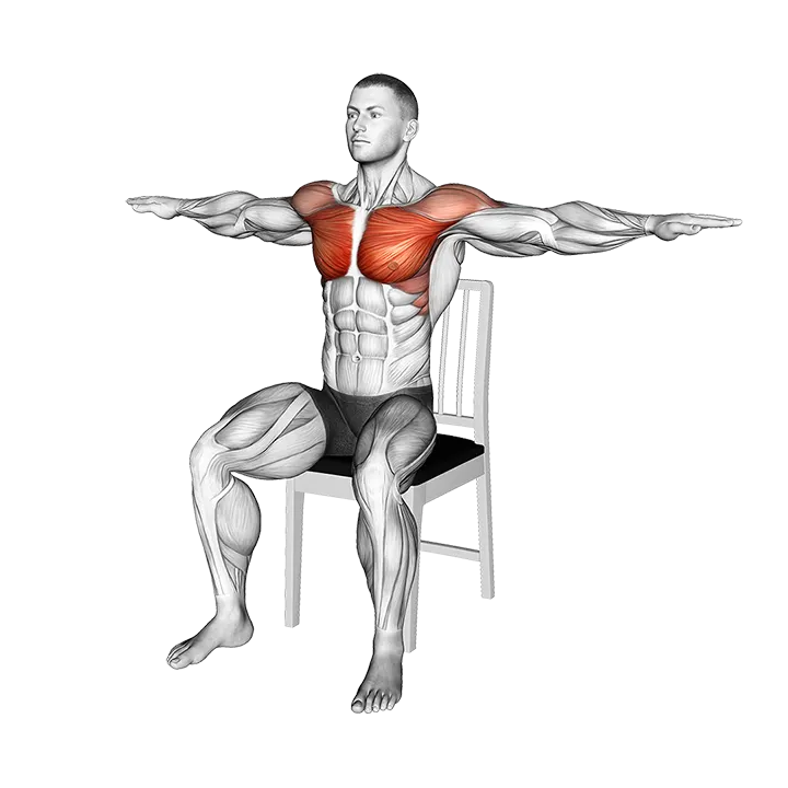 Seated Open-up and Under Swing on a Chair exercise animation (Male)